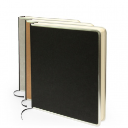 Guest Book BASIC 