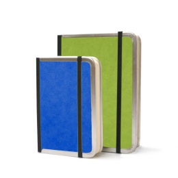 Daily Planner BASIC COLOUR 