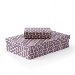 Box Kap Arkona 