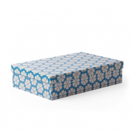 Box GINA 34 x 22 x 8 cm